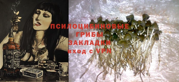 стафф Краснотурьинск