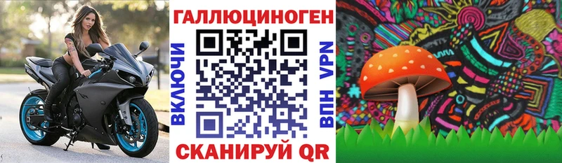 Купить закладки  Выкса  Псилоцибиновые грибы мицелий 